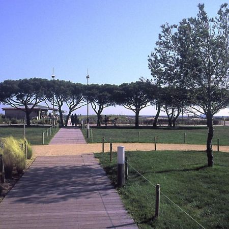 Charmant Appart. 500M Plages Des Sablettes La Seyne-sur-Mer Exterior foto